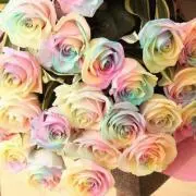 ニコ☆自己紹介必読ですの画像