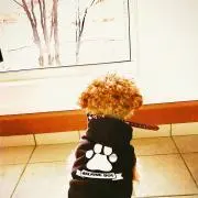junkoの画像
