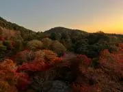 名無し Retinaの画像