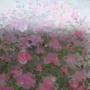 きなこの画像