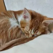 ふぅ