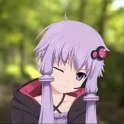 P.P.R