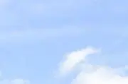 はぬるの画像