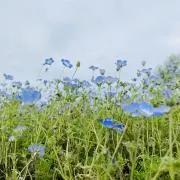 T.Kの画像