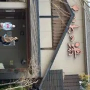 岩ピク
