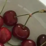 夏