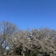 断捨離中です。よろしくお願いします^_^の画像