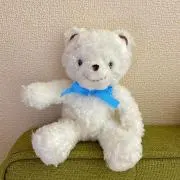 KOHAの画像