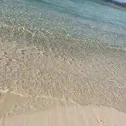 mmmmayの画像