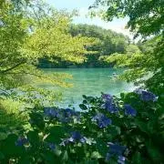 まりぽんの画像