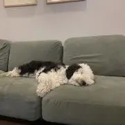 るん