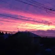 黒うさぎ★