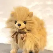 ねーねの画像