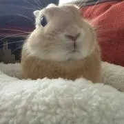 なおとの画像