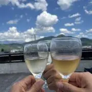 こたの画像