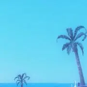 Yuの画像