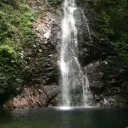 秋山陽平