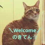 ☆☆のきてん☆☆即日発送可能☆の画像