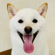 うらら