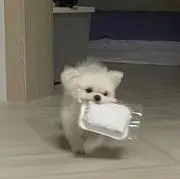 たー