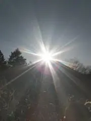 かっこの画像