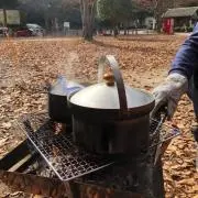 Mucchiの画像