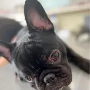 ツン