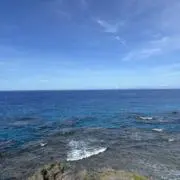 よもぎ餅