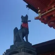 Chicaの画像