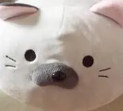 ひろ