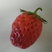 チョコの画像