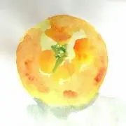 mikan