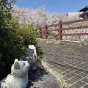 Floryの画像