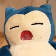 ゴンちゃんの画像