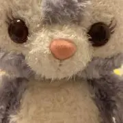 むらみの画像