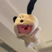 サワガニの画像
