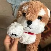 Happyの画像