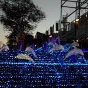 Rinmamaの画像