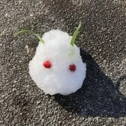 まくの画像