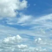 のんの画像
