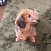 JOHNJOHNの画像