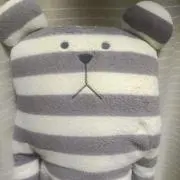 クリスマス島の画像