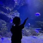 rimom＊の画像