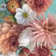 ララ☆プロフ必読お願いします。の画像