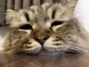♡もずく♡の画像