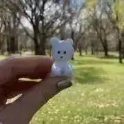 皐