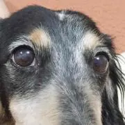 らいとぅんの画像