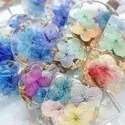szi（a*c/hana）の画像