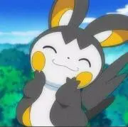 pachi