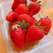 いっちゃんの画像